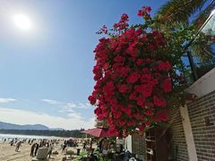 -后海村