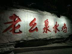 -老幺泉水鸡