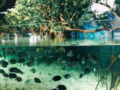 景点-福州罗源湾海洋世界旅游区