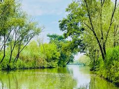 -西溪国家湿地公园