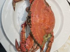 -半岛听涛蒸汽海鲜自助(K11店)