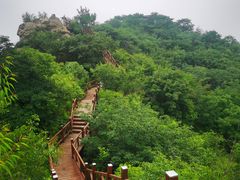 -大岭沟猕猴桃谷风景区
