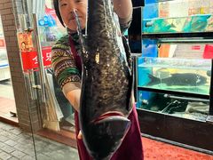 -全乐鱼馆·淳牌有机鱼直营店