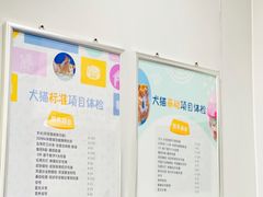 -伟伟宠物医院·CT影像中心·瑞派犬猫综合性门诊(汉口总院)