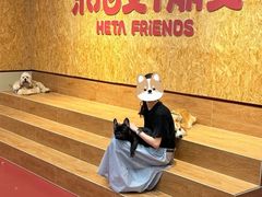 -和它·交个朋友·狗咖猫咖(爱琴海店)