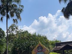 -中国科学院西双版纳热带植物园