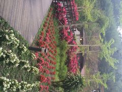 iphone_upload_pic-瑞穗牧场