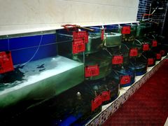 -地方名吃海鲜大馅蒸饺(北戴河店)