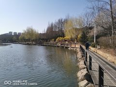 -前关湿地公园