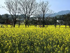 -韶山毛泽东同志故居