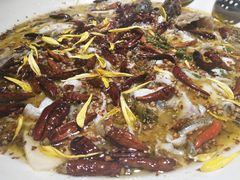 老坛子酸菜鱼-新太二·鲜料川菜(群光广场店)