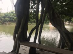 -小洲村