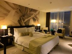 -国家会议中心大酒店