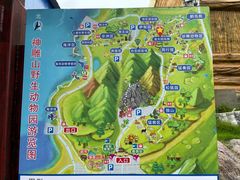 -西霞口神雕山野生动物世界