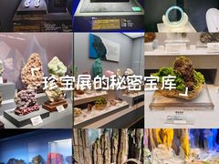 -湖南省地质博物馆