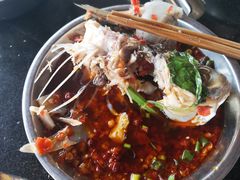 -老杨砂锅鱼庄