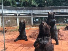 -昆明动物园