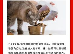 -爱妮康宠物医院·干细胞免疫细胞·肿瘤·心脏(张江店)