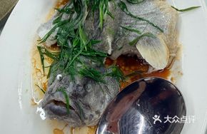 Steamed Blue Grouper