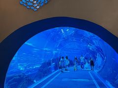 -成都浩海立方海洋公园