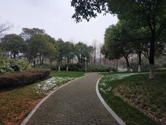 -尚贤河湿地