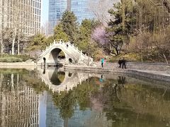 -团结湖公园