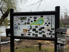 -井之头恩赐公园