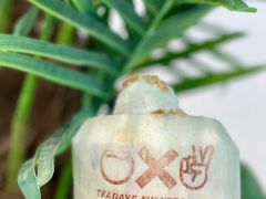 -茶大椰·椰子茶(星悦荟店)