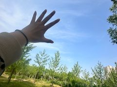 -坝河休闲公园
