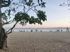 -大梅沙海滨公园