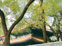-北京国子监胡同