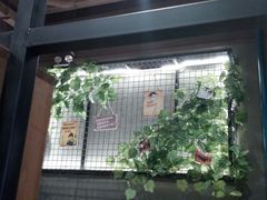 -喝丢一只鞋海鲜烧烤·海肠捞饭(文体街店)