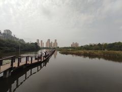 -前关湿地公园