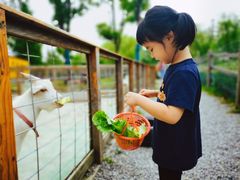 -前小桔亲子创意农场·草莓采摘·露营烧烤