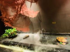 -青螺餐厅·家宴(松雅湖店)