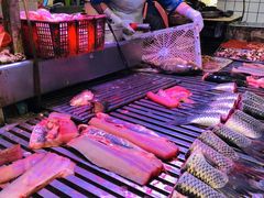 -细村农贸综合市场