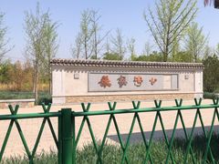 -张家湾公园