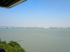 -大湾区中央湿地公园
