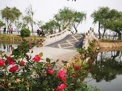 -无锡蠡湖国家湿地公园-蠡园