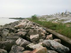 -芒洲湿地公园