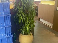 -王家大院·南京菜(湛江路总店)