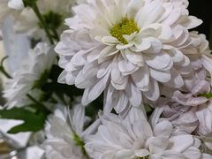 -WATER CAFE(广厦店)