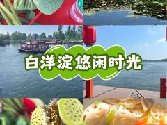 -白洋淀景区