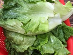 生菜-奇味鸡煲(麦地店)