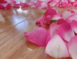 -亚太瑜伽普拉提学院