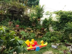 -美味之家·湖景农家乐(太湖东山店)