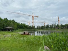 -长兴太湖图影湿地文化园
