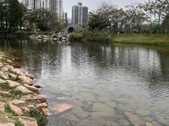 -四海公园(南山区)