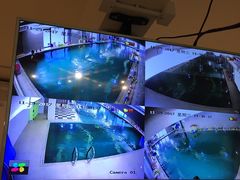 -BlueBubble蓝泡泡婴幼儿游泳会所(合川路店)