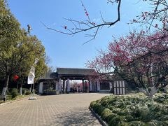 -上海海湾国家森林公园